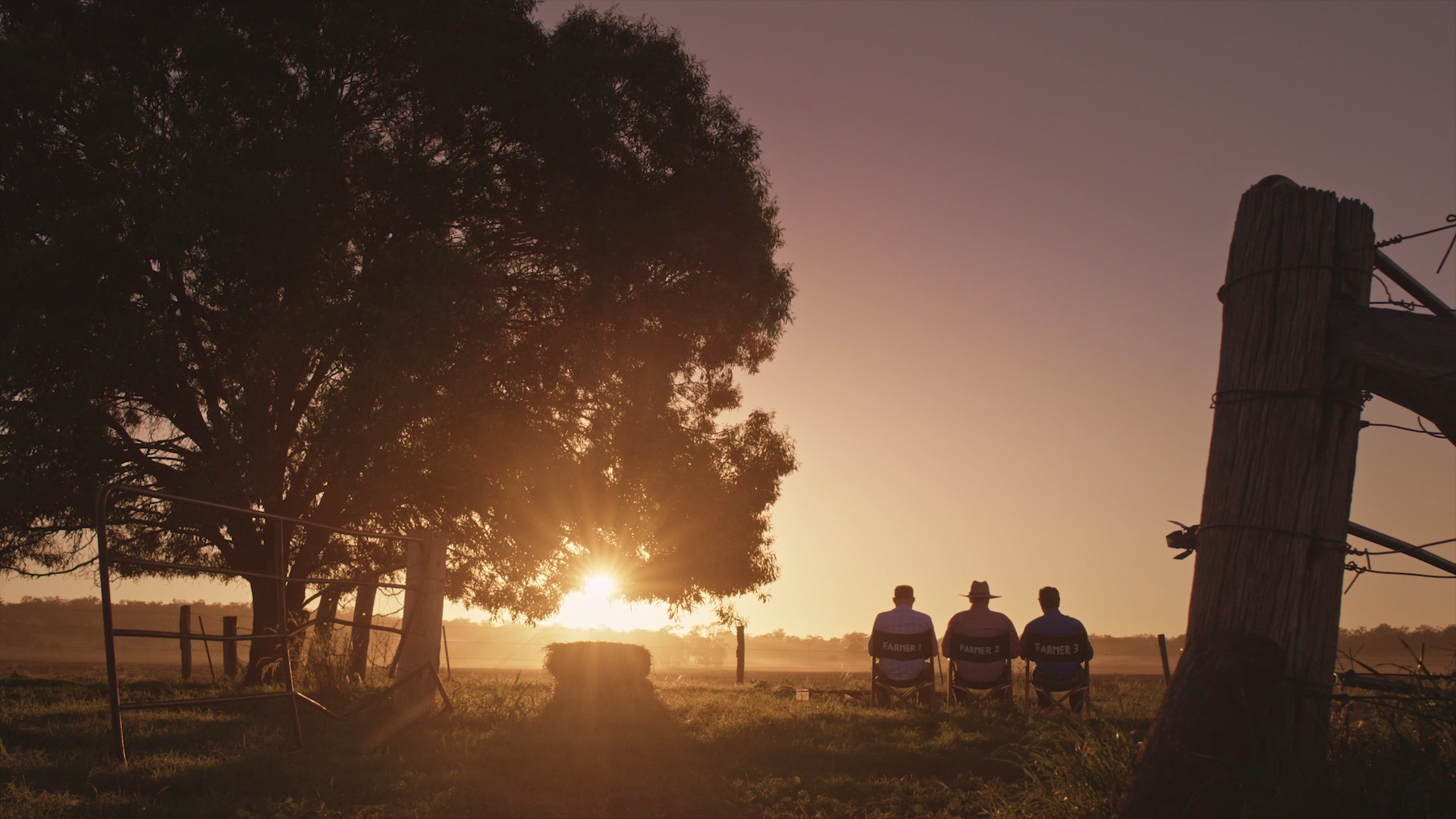 Australian Pork Pork Supplier Sunpork Fresh Foods